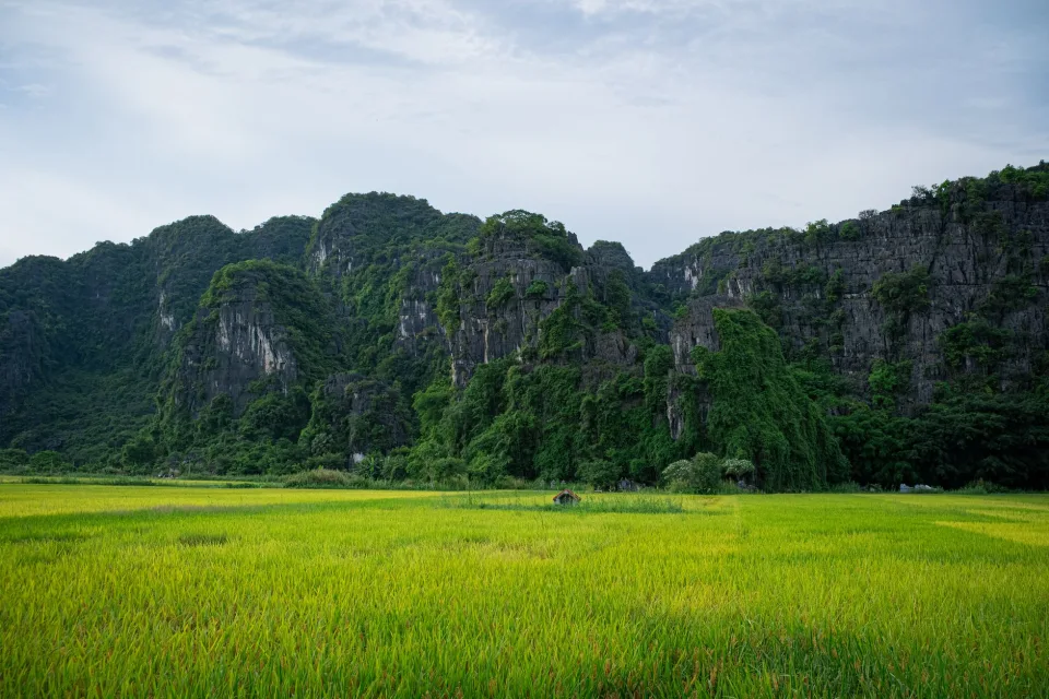 Kho gạo của Sachi Phạm Hùng